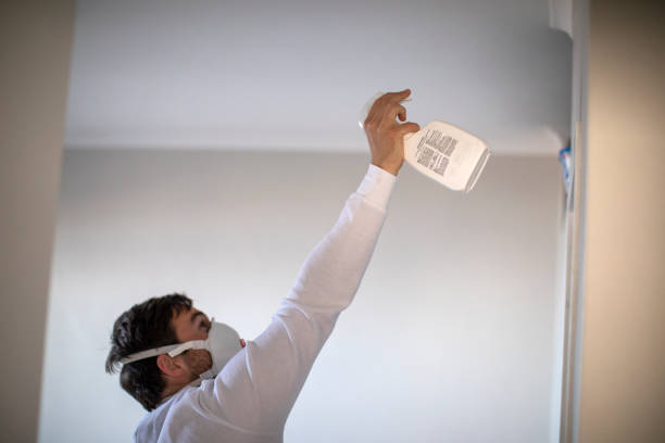 Best Affordable Mold Removal  in Groesbeck, TX