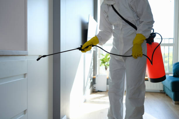 Groesbeck, TX Mold Removal Company