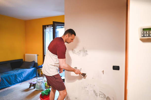 Best Residential Mold Removal  in Groesbeck, TX