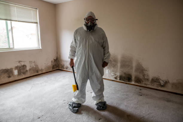 Best Same-Day Mold Removal  in Groesbeck, TX